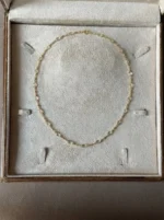 گردنبند شماره ۲